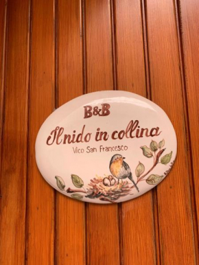 Il Nido in Collina